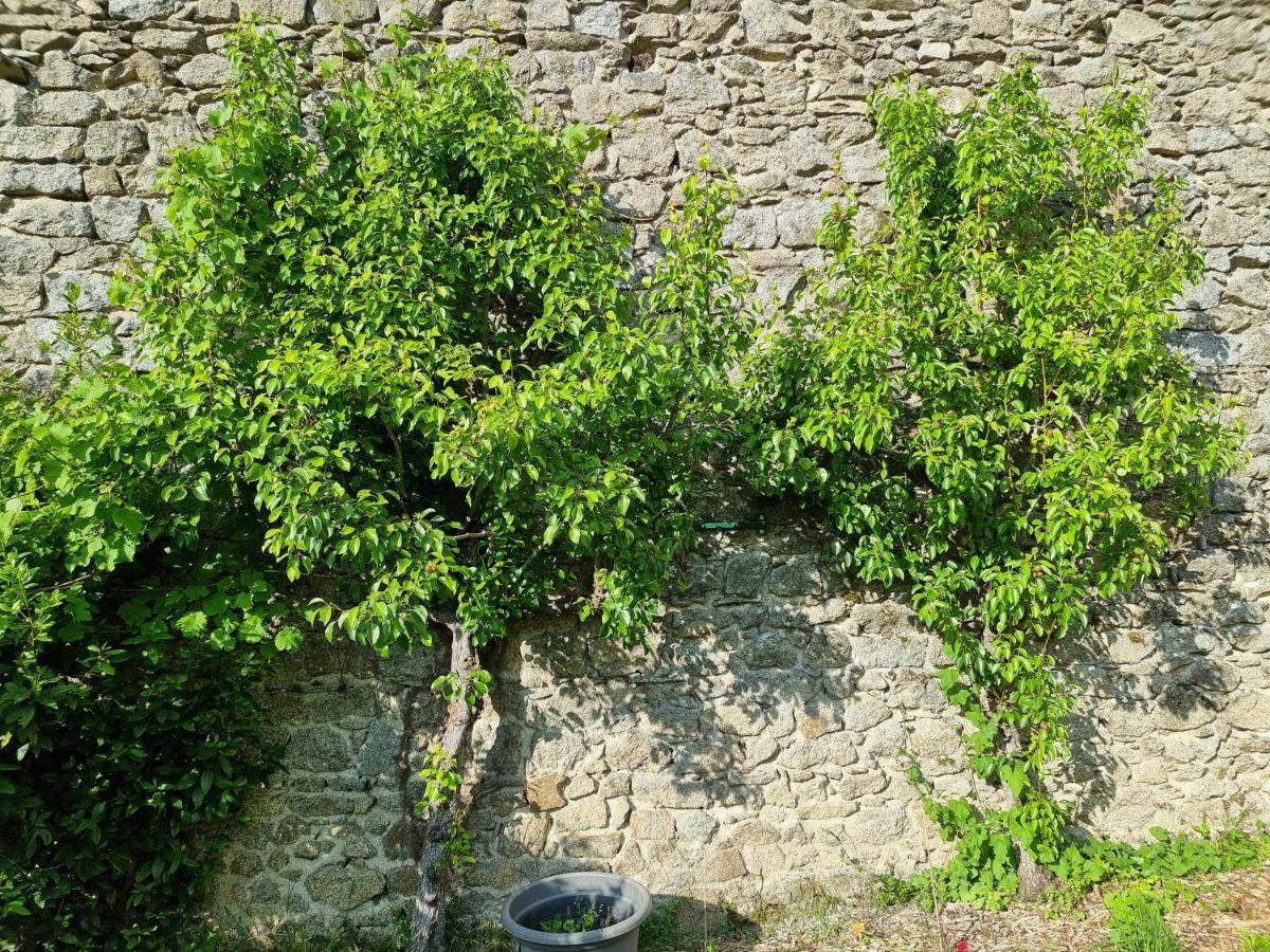 Bed and Breakfast L'Atrium Piégut-Pluviers Zewnętrze zdjęcie